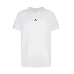 Nike JDN JORDAN SPORT CORE SS TEE (95D618-001)