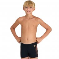 Arena B Swim Short Graphic (005546 530)