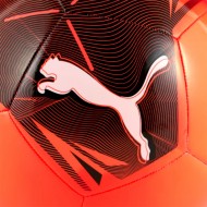 Puma Big Cat ball (084589 04)