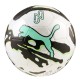 Puma NEYMAR JR Graphic ball (085023 01)