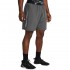 Under Armour Woven Wdmk Shorts (1383356 025)
