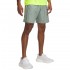 Under Armour Woven Wdmk Shorts (1383356 348)