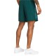 Under Armour Woven Wdmk Shorts (1383356 449)