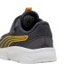 Puma FlexFocus Modern AC+ Inf (311523 04)