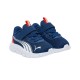 Puma FlexFocus Modern AC+ Inf (311523 17)
