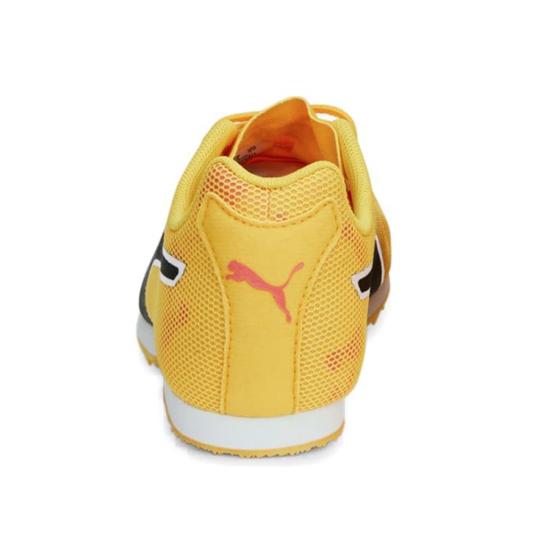 Puma evoSPEED Star 8 Junior (377960 01)
