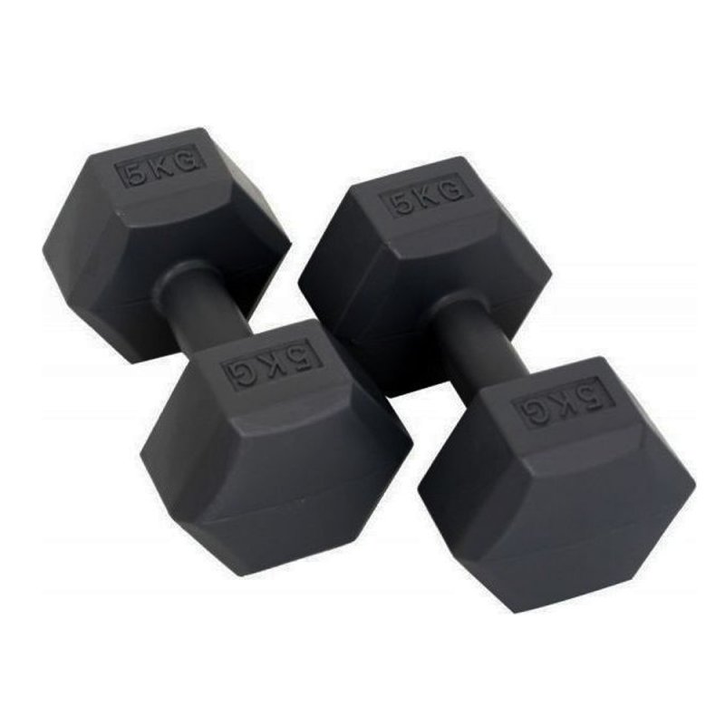 ΒΑΡΗ ΠΛΑΣΤΙΚΑ 5kgr (ΖΕΥΓΟΣ) ΓΚΡΙ (44536)