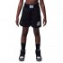 Nike JDG JM TRAINING MESH SHORT (45D981-023)
