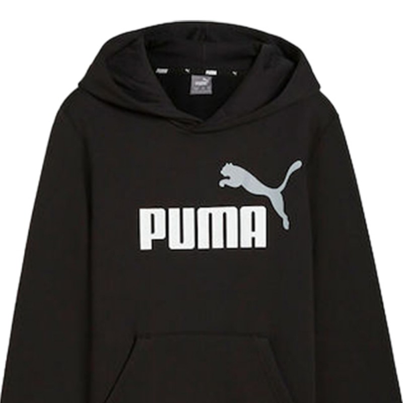 Puma ESS+ 2 Col Big Logo Hoodie FL (586987 60)