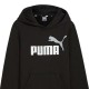 Puma ESS+ 2 Col Big Logo Hoodie FL (586987 60)