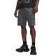 Under Armour Rival LW Graphic Shorts (6014689 025)
