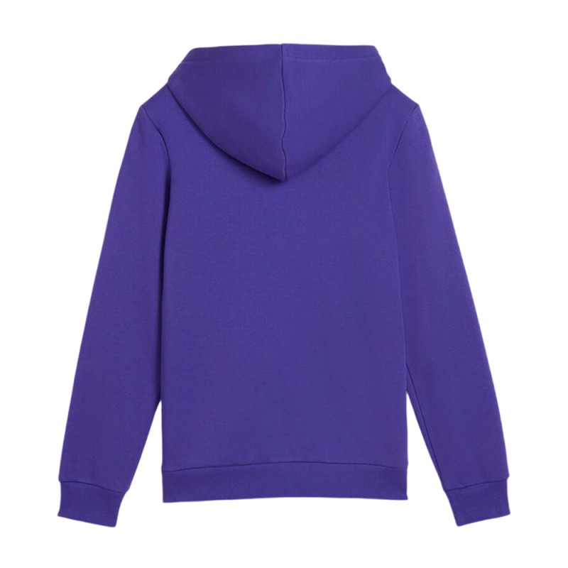 Puma ESS+ LOGO LAB Gradient Hoodie FL B (681843 27)