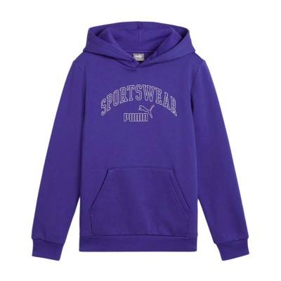 Puma ESS+ LOGO LAB Gradient Hoodie FL B (681843 27)