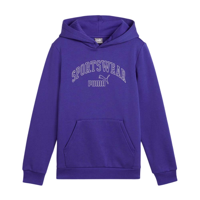 Puma ESS+ LOGO LAB Gradient Hoodie FL B (681843 27)