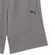 Puma Shorts 9inch DK (684603 79)
