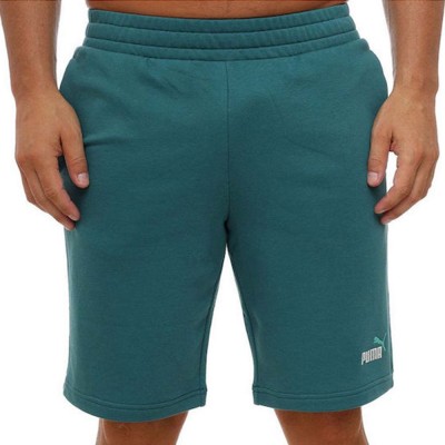 Puma ESS 2 COLOR No. 1 Logo Shorts 10 inch TR (684715 41)