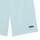 Puma ESS 2 COLOR No. 1 Logo Shorts 10 inch TR (684715 48)