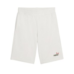Puma ESS 2 COLOR No. 1 Logo Shorts 10 inch TR (684715 52)