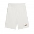 Puma ESS 2 COLOR No. 1 Logo Shorts 10 inch TR (684715 52)