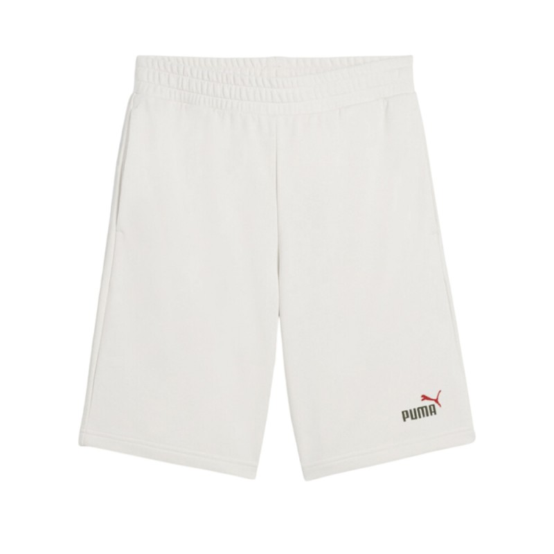 Puma ESS 2 COLOR No. 1 Logo Shorts 10 inch TR (684715 52)