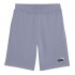 Puma ESS 2 COLOR No. 1 Logo Shorts 10 inch TR (684715 65)