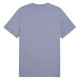 Puma ESS 2 COLOR Small No. 1 Logo Tee (684717 65)