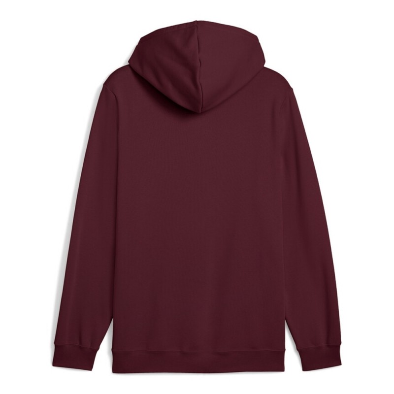 Puma ESS 2 COLOR Small No. 1 Logo Hoodie FL (684718 96)