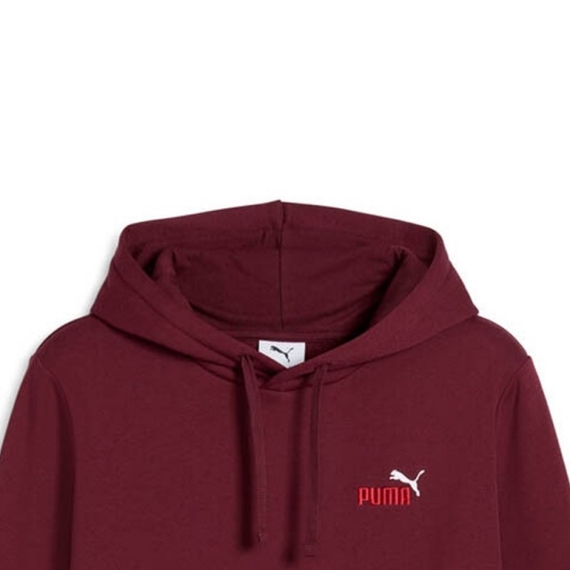 Puma ESS 2 COLOR Small No. 1 Logo Hoodie FL (684718 96)