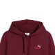 Puma ESS 2 COLOR Small No. 1 Logo Hoodie FL (684718 96)