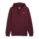 Puma ESS 2 COLOR Small No. 1 Logo Hoodie FL (684718 96)