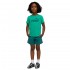 Puma ESS No.1 Logo Tee and Shorts Set PS (685240 40)