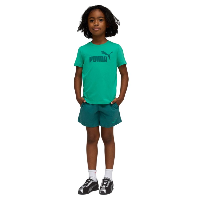 Puma ESS No.1 Logo Tee and Shorts Set PS (685240 40)