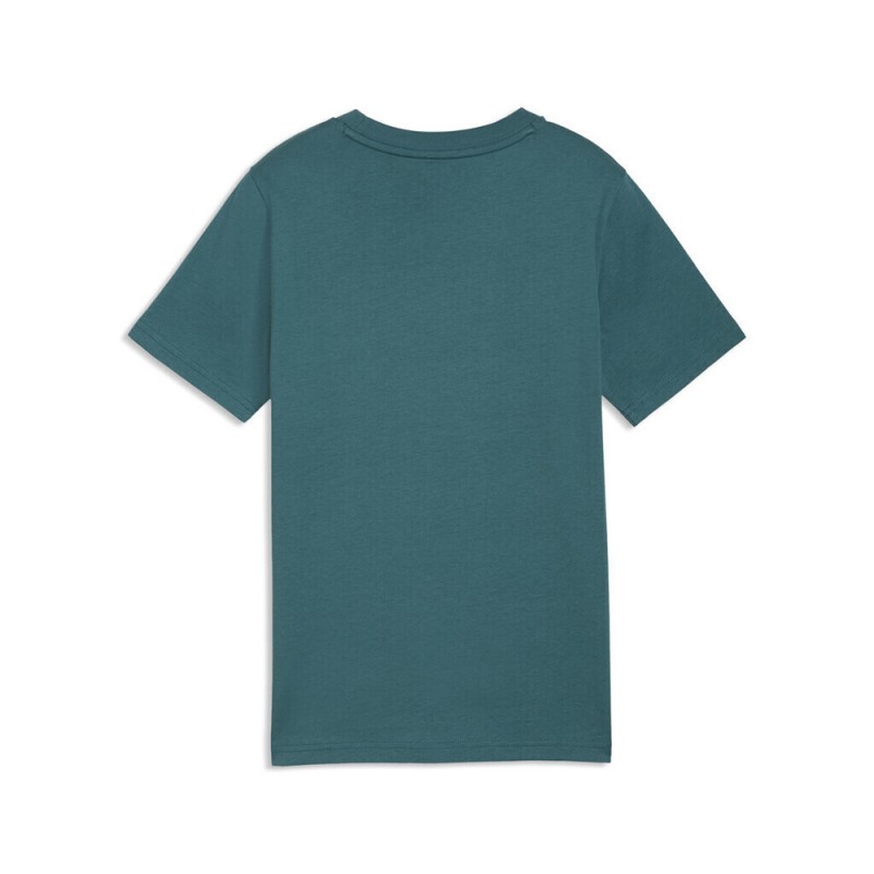 Puma ESS 2 COLOR Small No. 1 Logo Tee B (685779 41)
