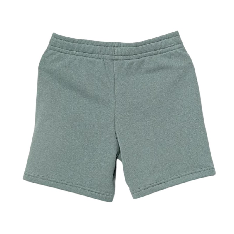 Puma ESS 2 COLOR No. 1 Logo Shorts TR B (685826 42)