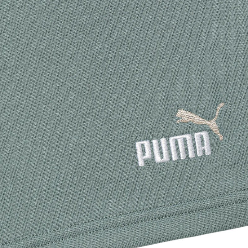 Puma ESS 2 COLOR No. 1 Logo Shorts TR B (685826 42)