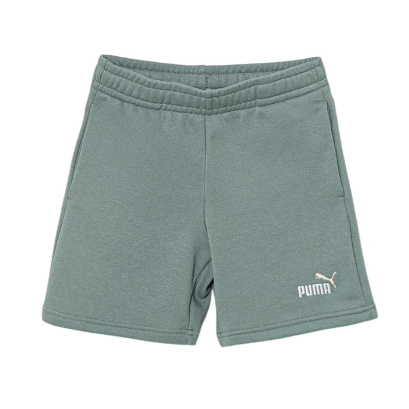 Puma ESS 2 COLOR No. 1 Logo Shorts TR B (685826 42)