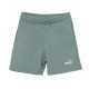 Puma ESS 2 COLOR No. 1 Logo Shorts TR B (685826 42)