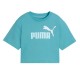 Puma ESS 2 COLOR No. 1 Logo Short Length Tee G (686071 46)