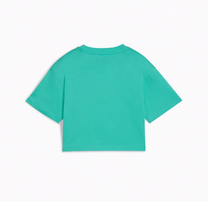 Puma ESS 2 COLOR No. 1 Logo  Short Length Tee G (686071 59)