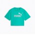 Puma ESS 2 COLOR No. 1 Logo  Short Length Tee G (686071 59)