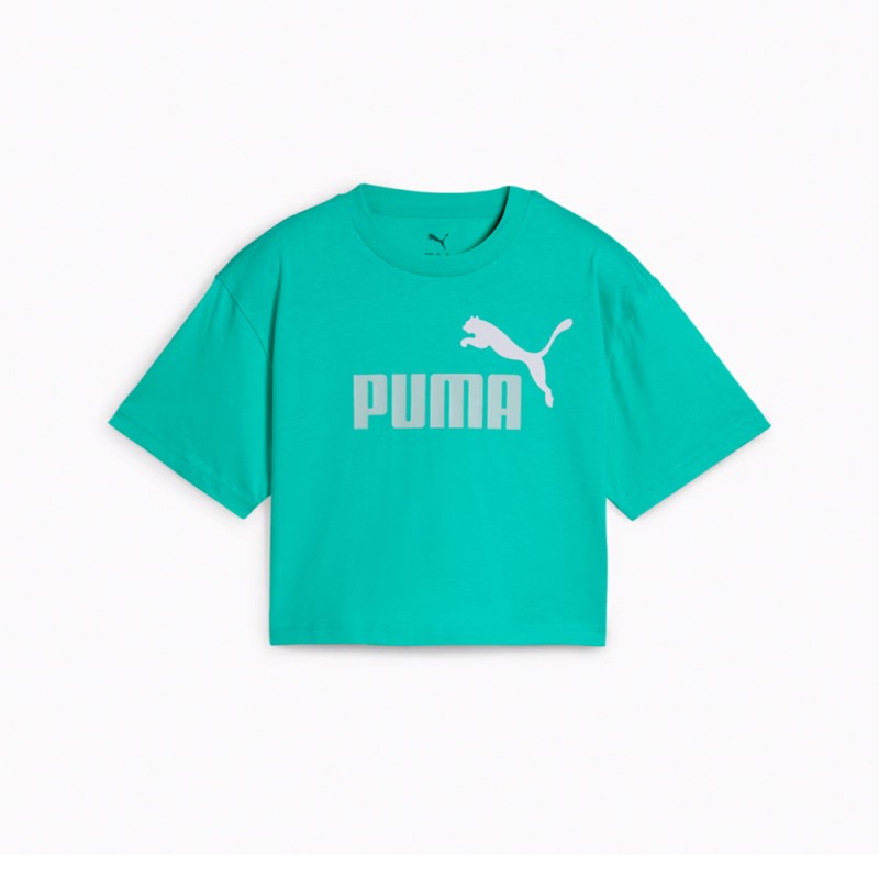 Puma ESS 2 COLOR No. 1 Logo  Short Length Tee G (686071 59)