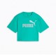 Puma ESS 2 COLOR No. 1 Logo  Short Length Tee G (686071 59)