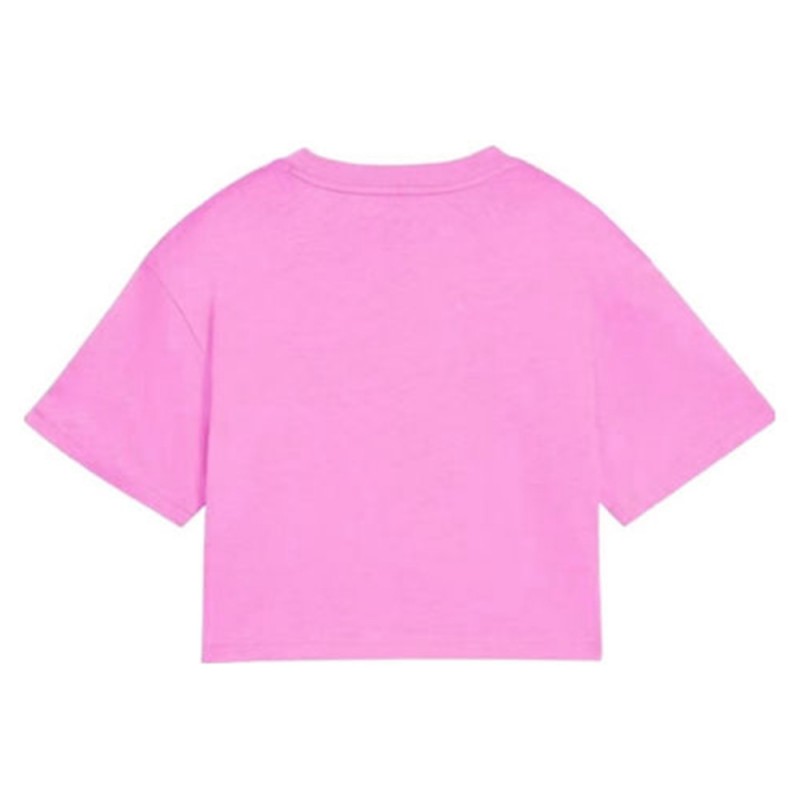 Puma ESS 2 COLOR No. 1 Logo Short Length Tee G (686071 74)