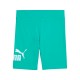 Puma ESS 2 COLOR No.1 Logo  Short Leggings G (686074 59)