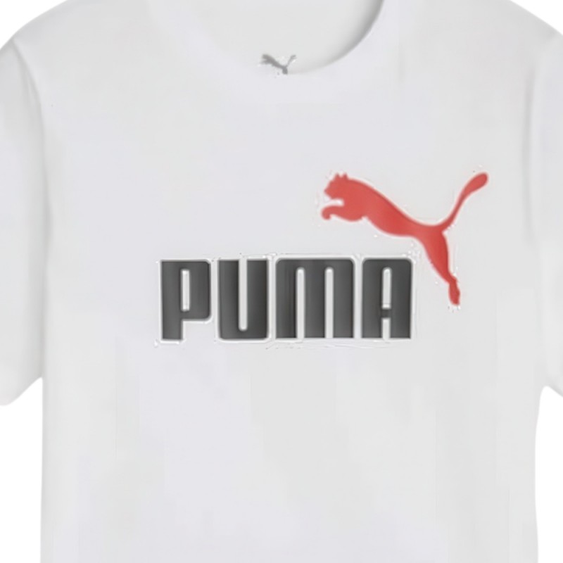 Puma ESS 2 COLOR No. 1 Logo Tee and Shorts Set B (686298 02)