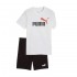 Puma ESS 2 COLOR No. 1 Logo Tee and Shorts Set B (686298 02)