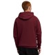 Puma PUMATECH FZ Hoodie (688045 96)