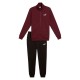 Puma ESS Sweat Suit FL (688175 96)