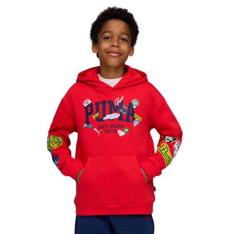 Puma BASKETBALL HOOPERHOTLINE Hoodie FL B (688980 11)