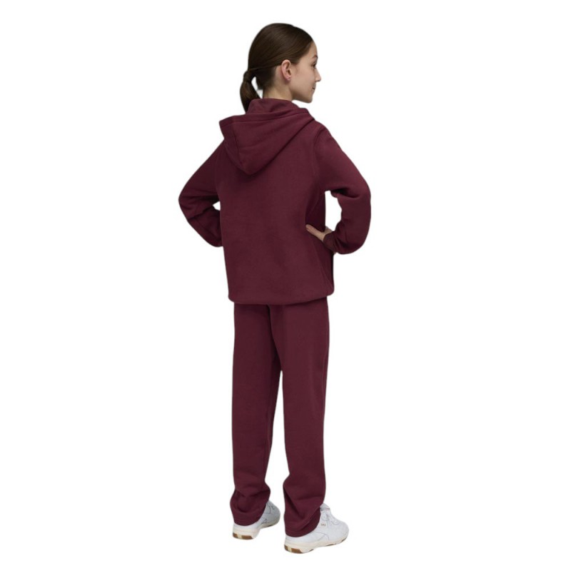 Puma Metallic Hooded Sweat Suit FL G (689729 96)
